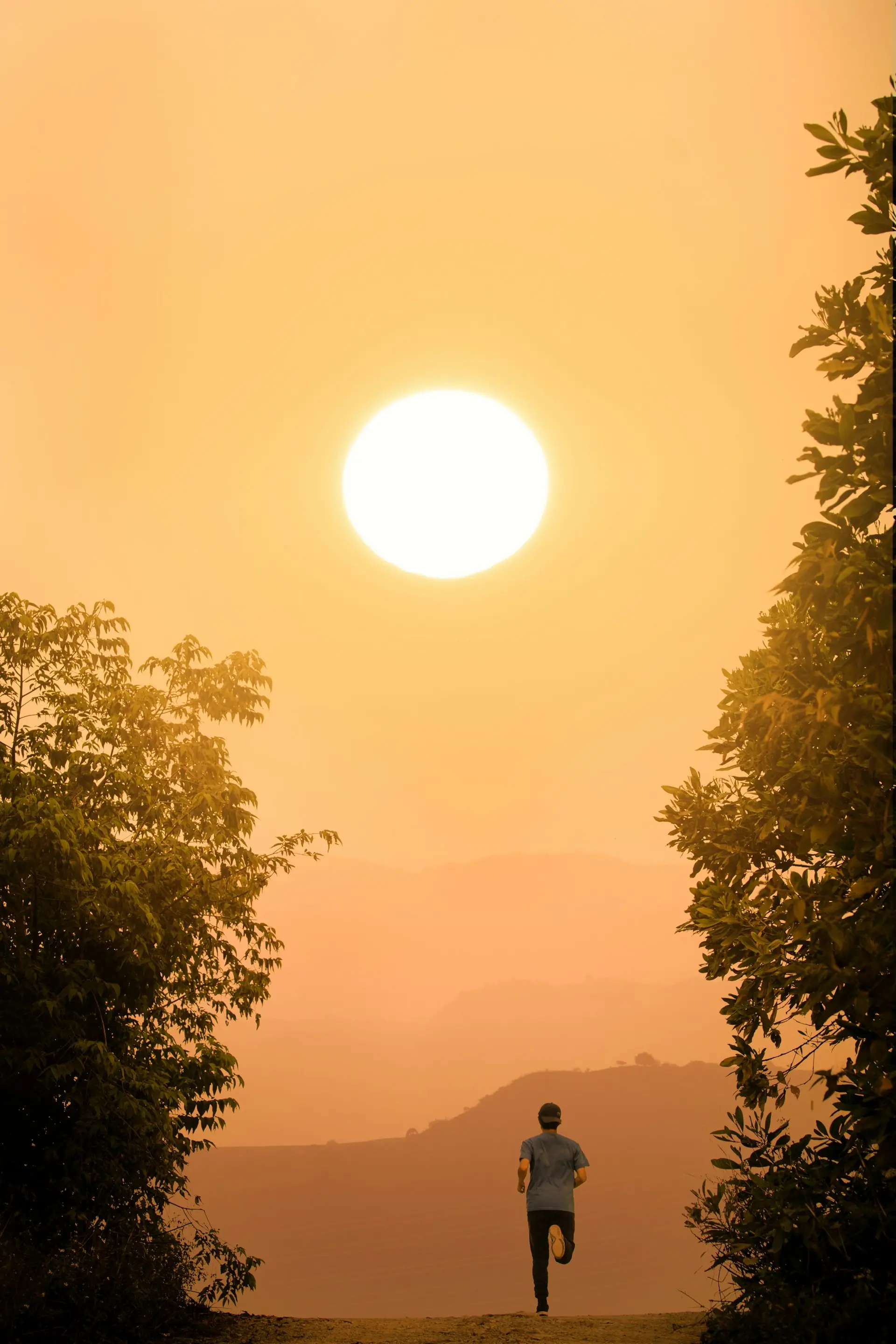 A runner climbing a dirt road toward a huge sunrise, trees on either side.